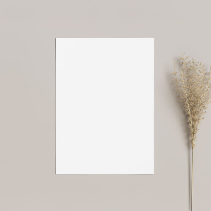 Portrait Orientation